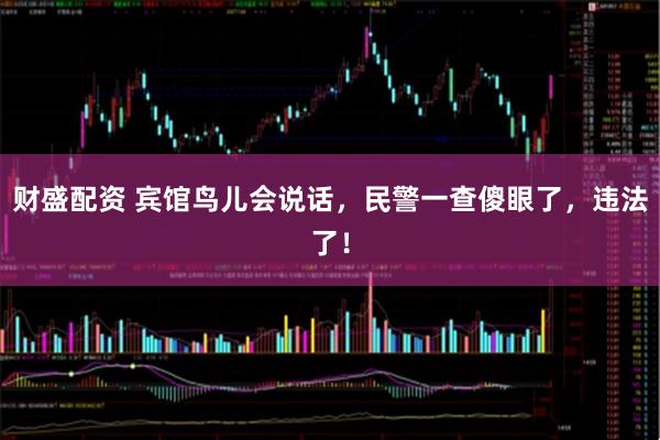 财盛配资 宾馆鸟儿会说话，民警一查傻眼了，违法了！