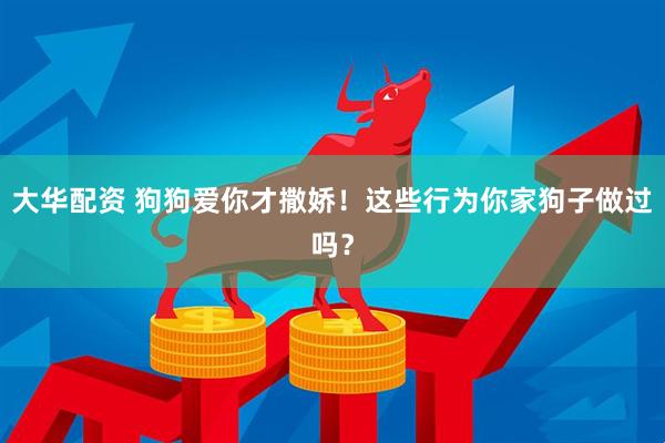 大华配资 狗狗爱你才撒娇！这些行为你家狗子做过吗？