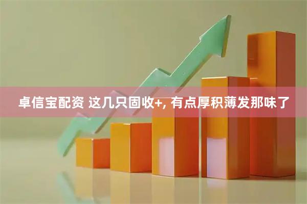卓信宝配资 这几只固收+, 有点厚积薄发那味了