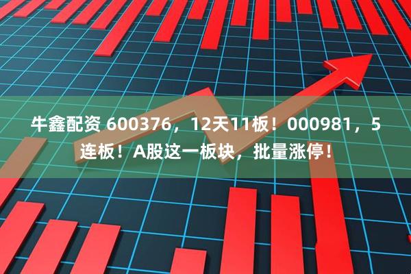 牛鑫配资 600376，12天11板！000981，5连板！A股这一板块，批量涨停！