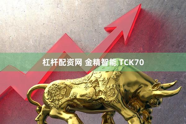 杠杆配资网 金精智能 TCK70